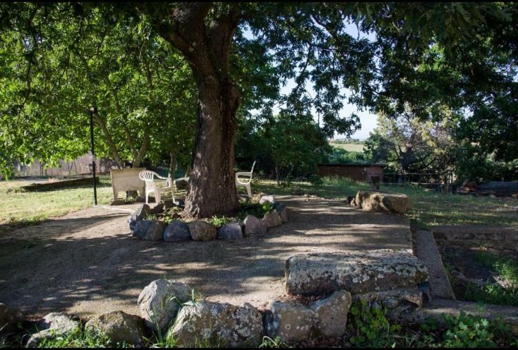 Favoloso Appartamento In Villa Monterosi Экстерьер фото