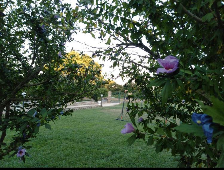 Favoloso Appartamento In Villa Monterosi Экстерьер фото
