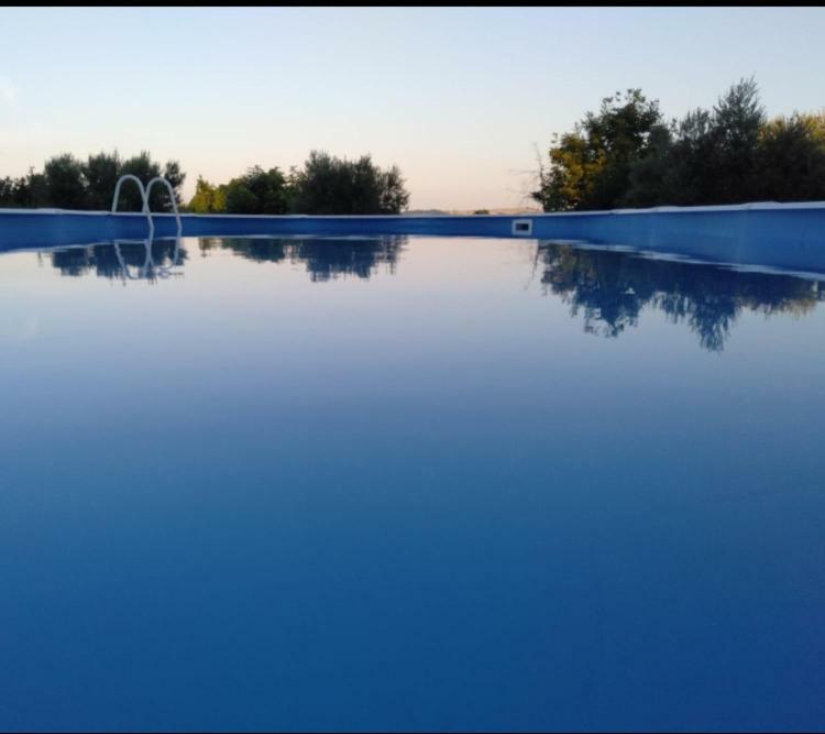 Favoloso Appartamento In Villa Monterosi Экстерьер фото