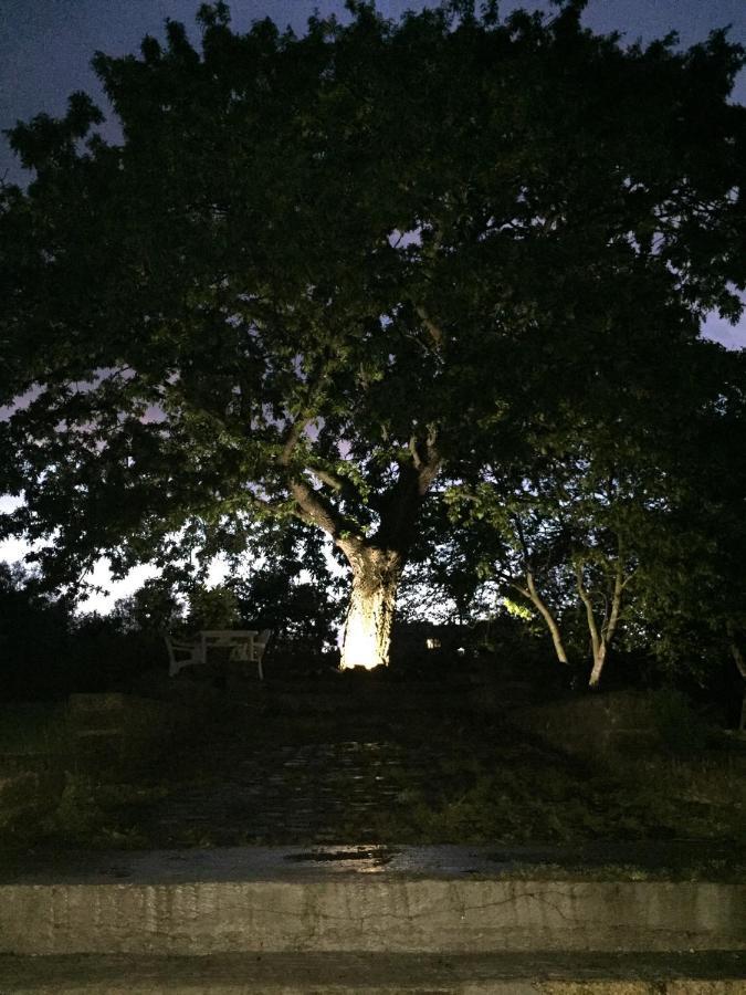 Favoloso Appartamento In Villa Monterosi Экстерьер фото