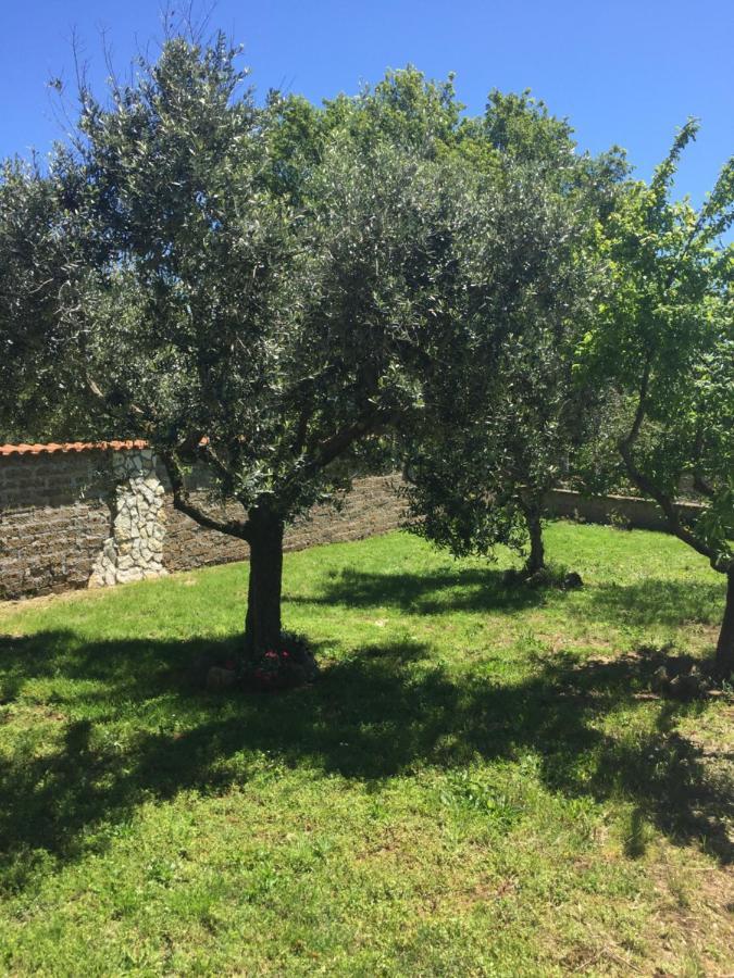 Favoloso Appartamento In Villa Monterosi Экстерьер фото